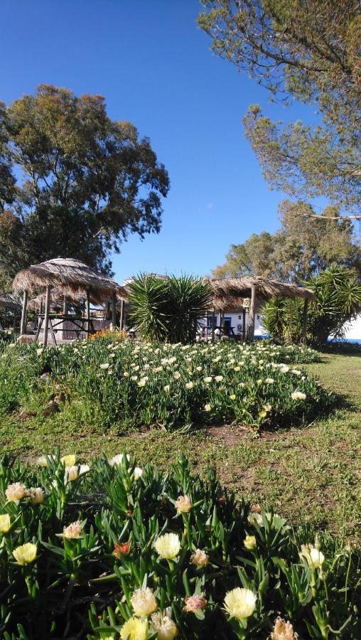 Lodge Monte Do Sobral Alcacovas Exterior photo