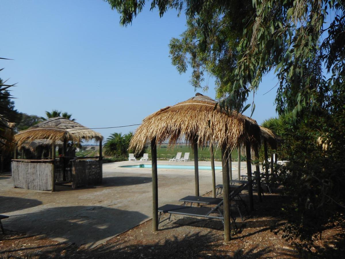 Lodge Monte Do Sobral Alcacovas Exterior photo